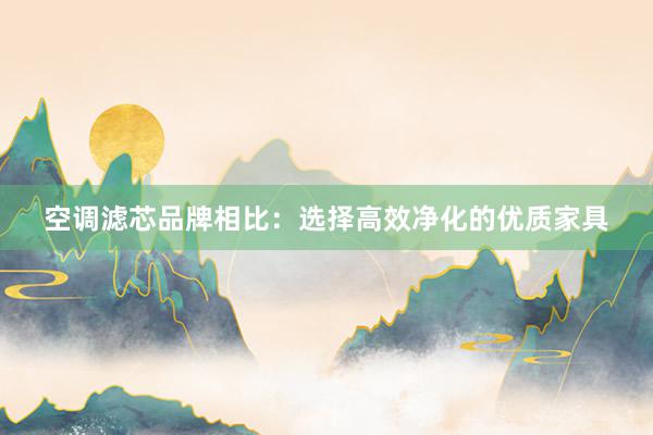 空调滤芯品牌相比：选择高效净化的优质家具